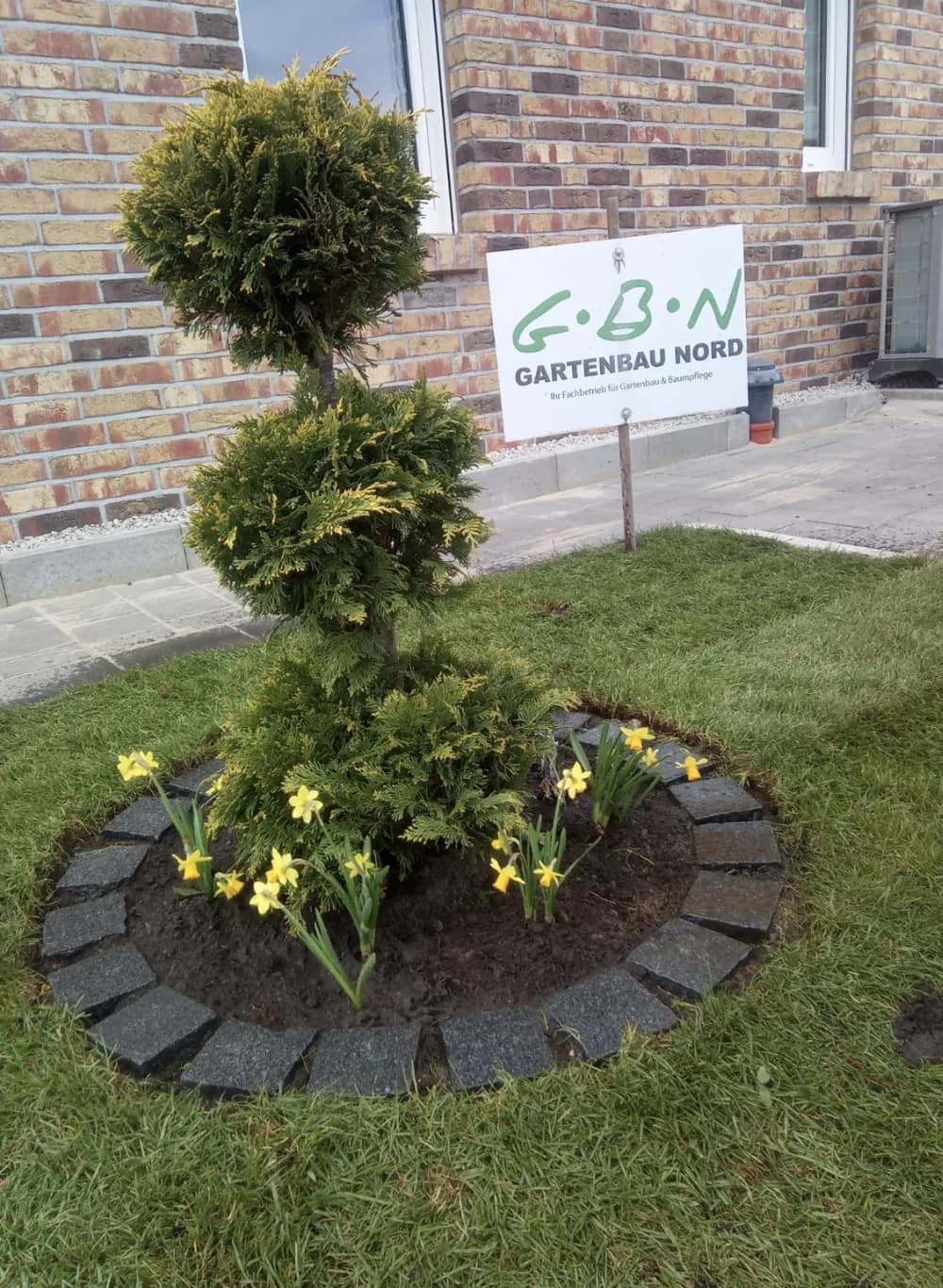 Rundes Blumenbeet mit Naturstein-Einfassung und Formschnitt-Konifere, Garten- und Landschaftsbau im Kreis Pinneberg